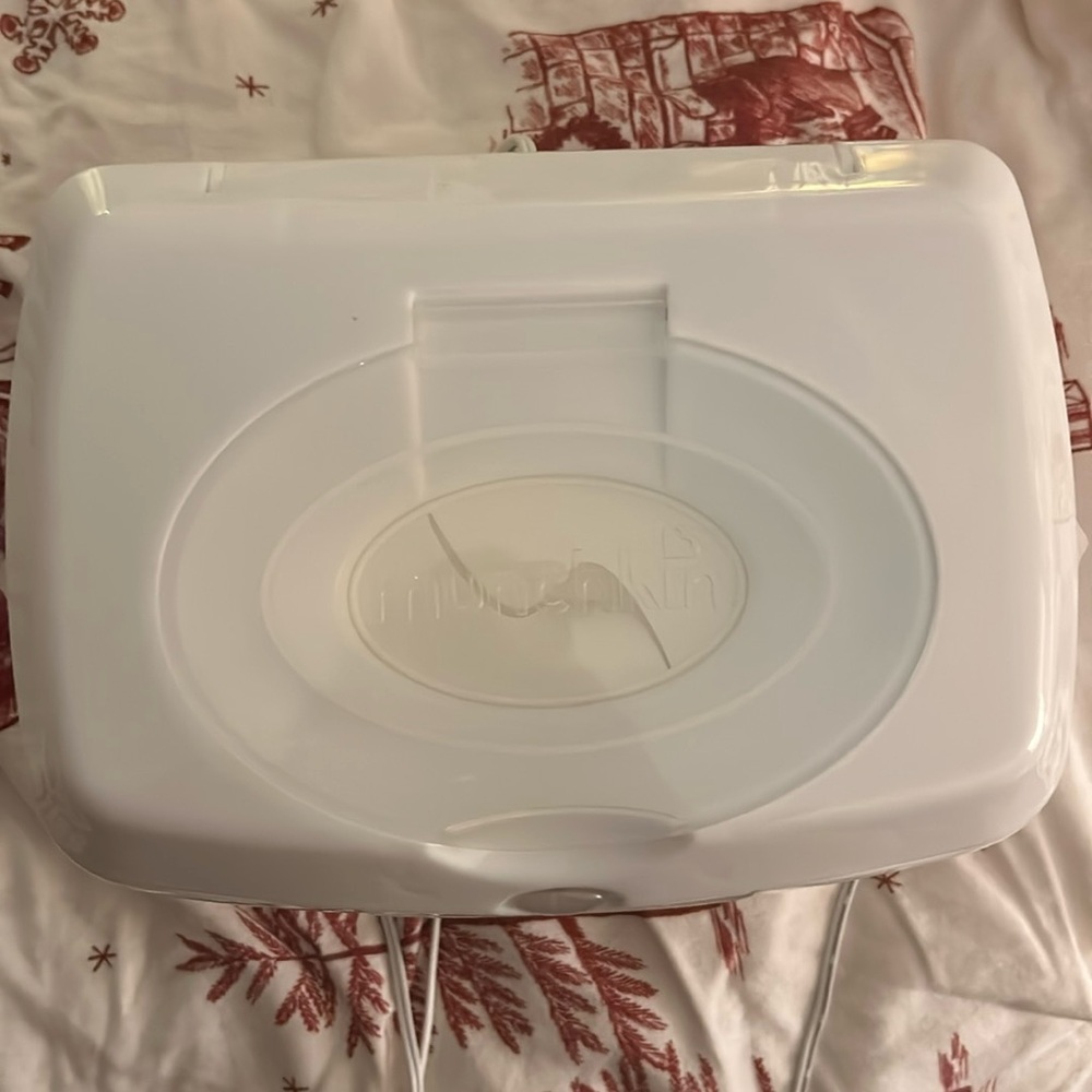 Wipe warmer